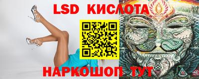 стафф Дубна