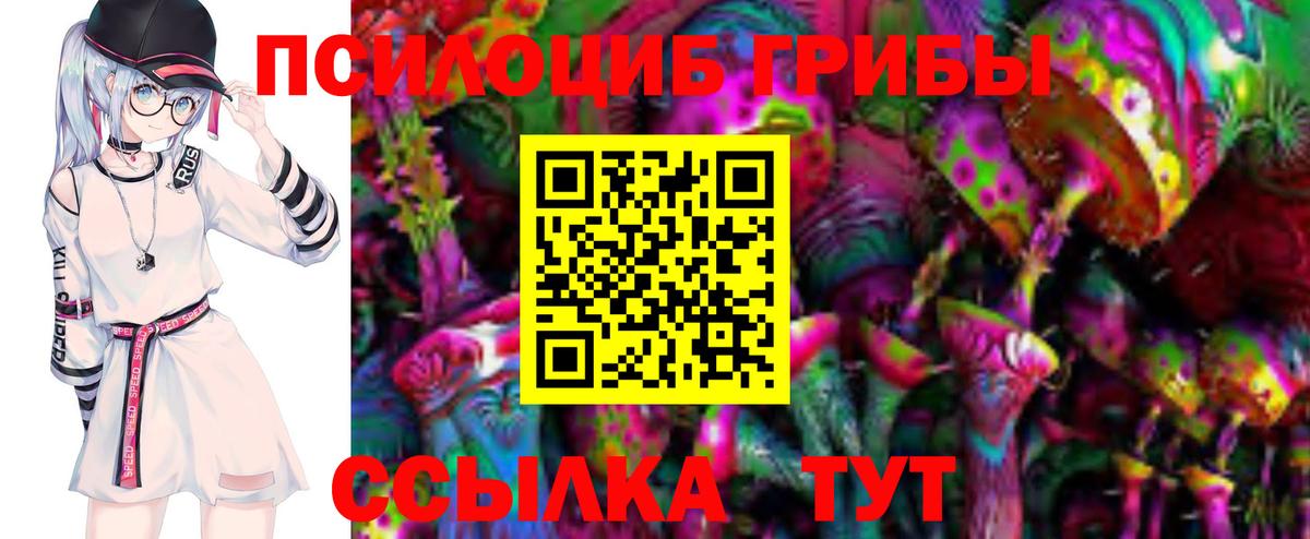 Псилоцибиновые грибы Psilocybine cubensis  Вход с VPN  Миасс 